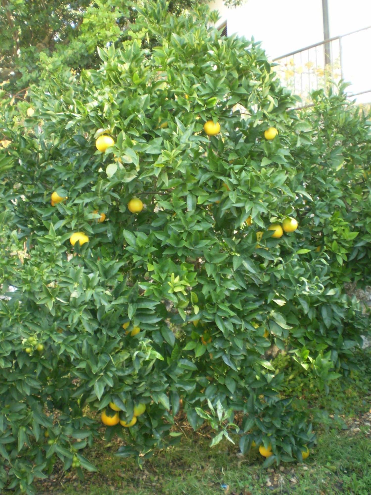 Apartmani Villa Marija Omis Luaran gambar